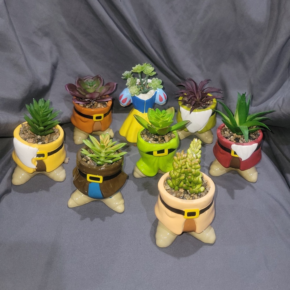 Disney Snow White and the Seven Dwarfs Faux Succulent Set